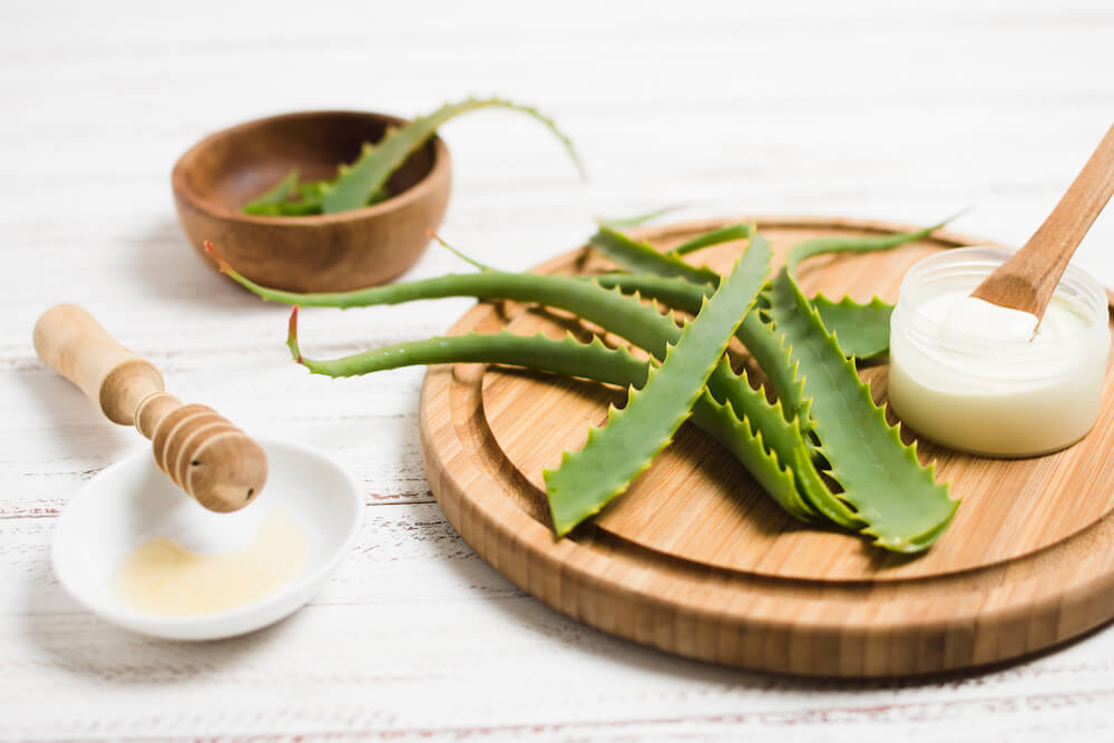 Bienfaits Aloe Vera